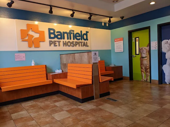Banfield Pet Hospital Picture 1