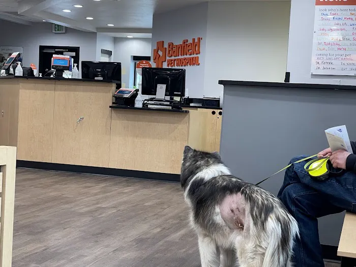 Banfield Pet Hospital Picture 6