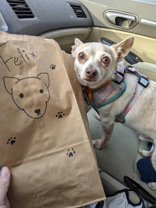 Banfield Pet Hospital Picture 10