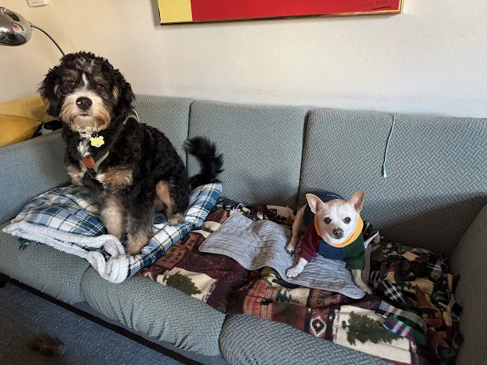 Portland Veterinary Wellness Center Picture 1