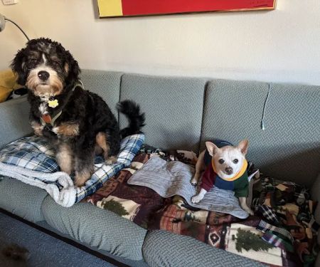 Portland Veterinary Wellness Center