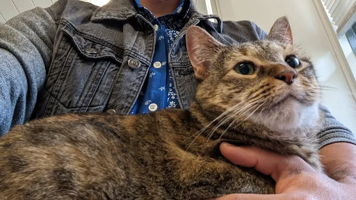 Portland Veterinary Wellness Center Picture 6