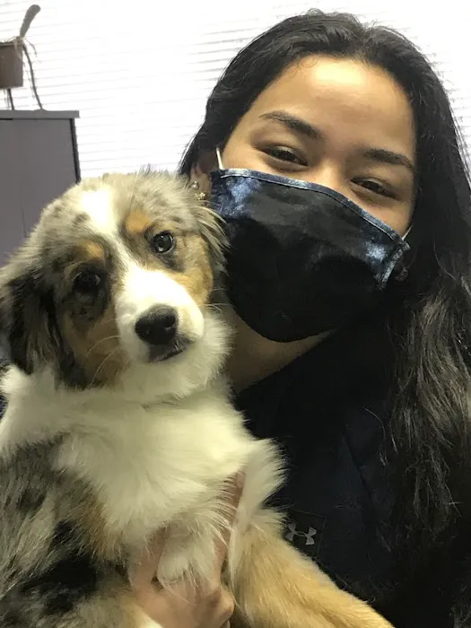 Portland Veterinary Wellness Center Picture 10
