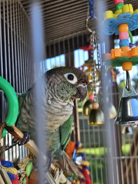 Avian and Exotic Veterinary Care Picture 5