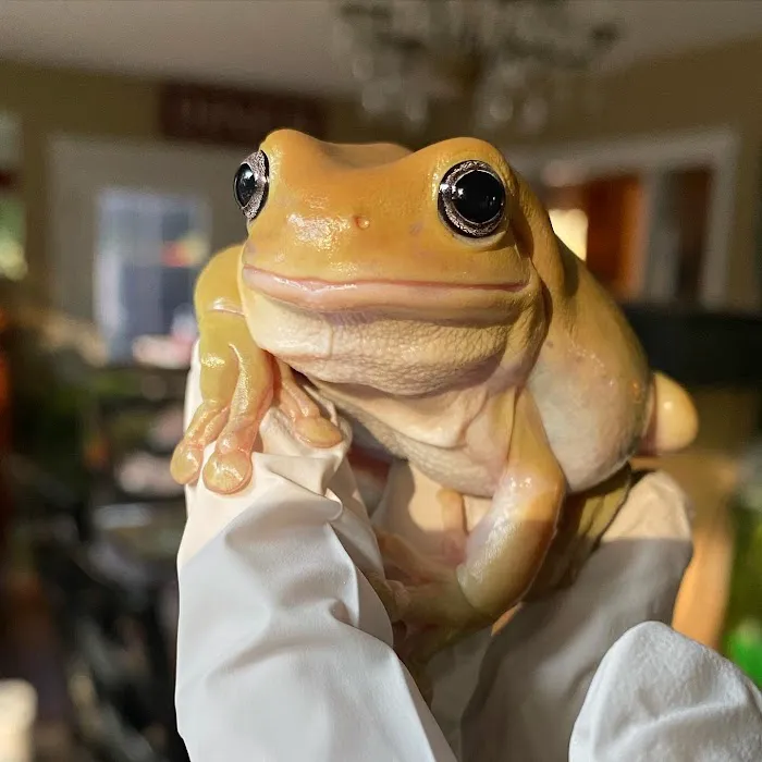 Avian and Exotic Veterinary Care Picture 8