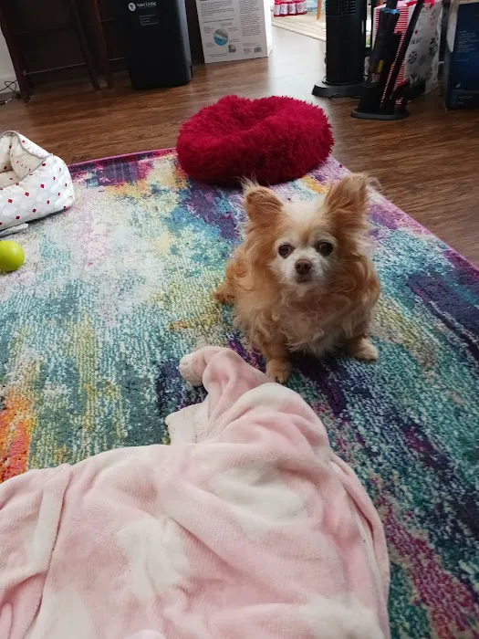 Hannah Pet Hospital Picture 2