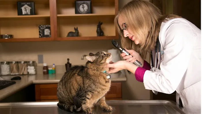 Hannah Pet Hospital Picture 1