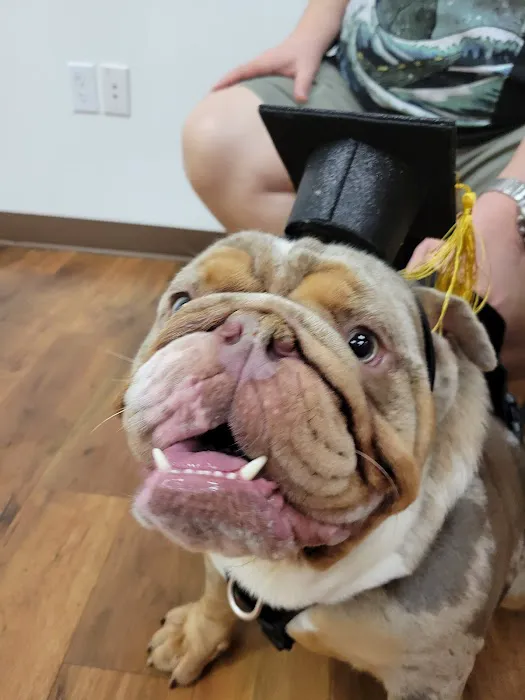 Hannah Pet Hospital Picture 6