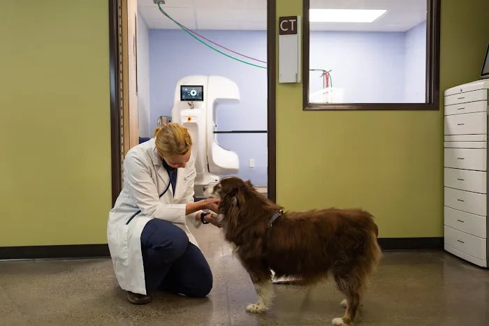 Sunstone Veterinary Specialists Picture 3