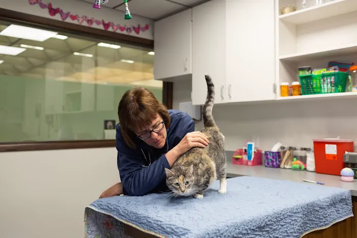 Sunstone Veterinary Specialists Picture 4