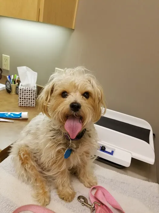 Sunstone Veterinary Specialists Picture 5
