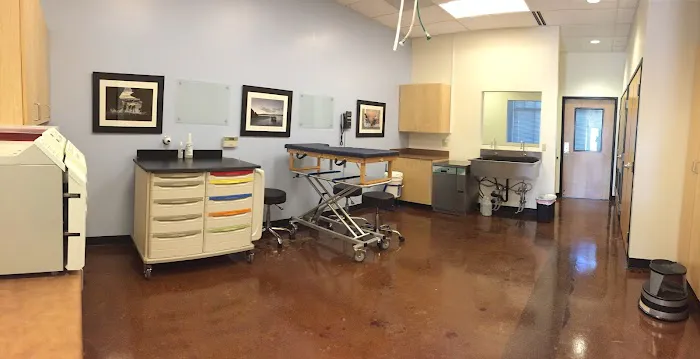 Sunstone Veterinary Specialists Picture 10