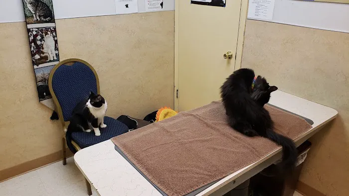 Gateway Veterinary Hospital Picture 7