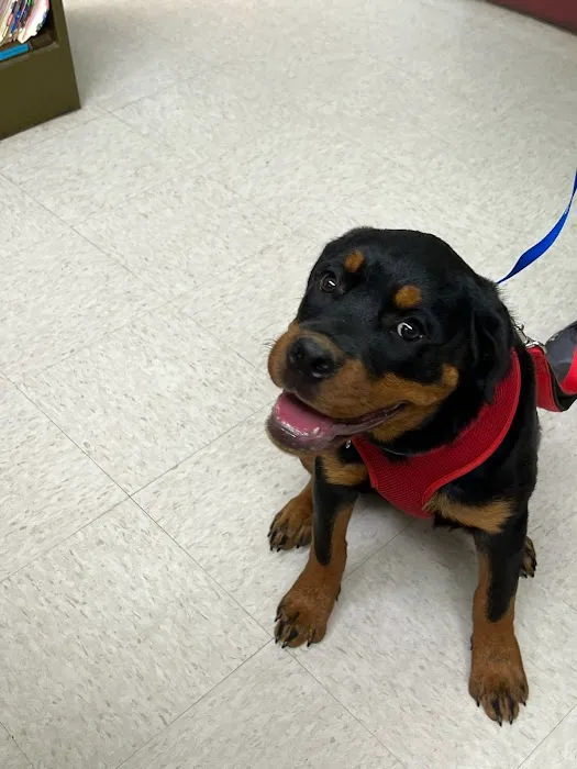 Gateway Veterinary Hospital Picture 9