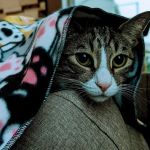 Parkway Veterinary Hospital