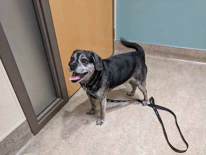 Parkway Veterinary Hospital Picture 4