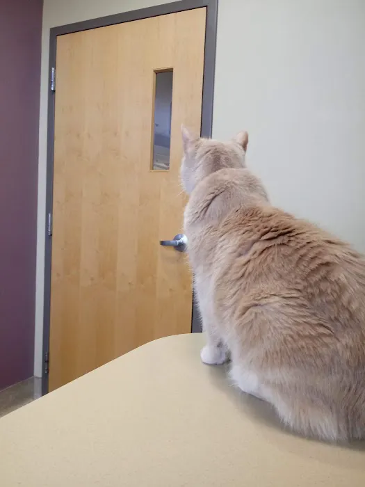 Parkway Veterinary Hospital Picture 9