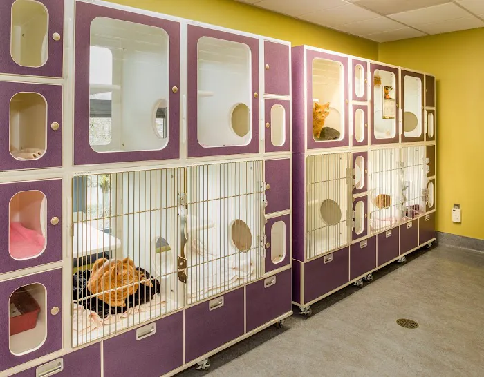 Animal Care Group of Lake Oswego Picture 4