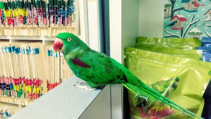 Avian Medical Center Picture 1