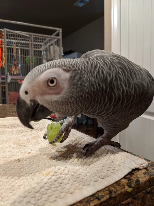 Avian Medical Center Picture 2