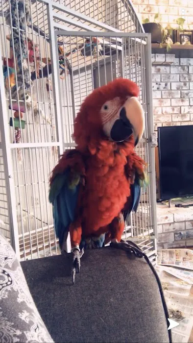 Avian Medical Center Picture 4