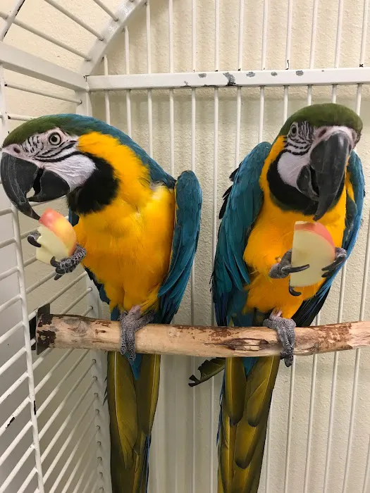 Avian Medical Center Picture 3