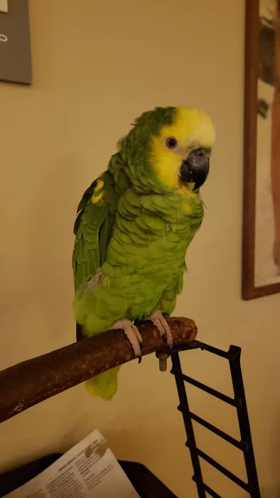 Avian Medical Center Picture 7