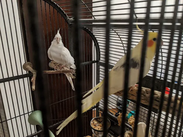 Avian Medical Center Picture 5