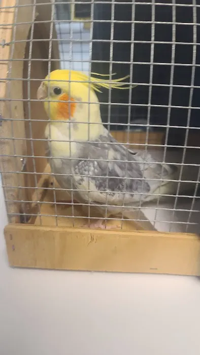 Avian Medical Center Picture 9