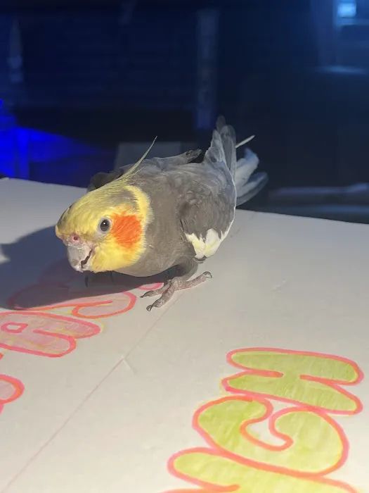 Avian Medical Center Picture 10