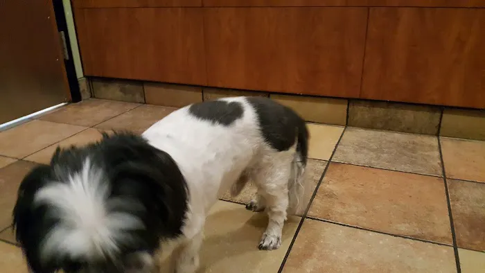Banfield Pet Hospital Picture 2