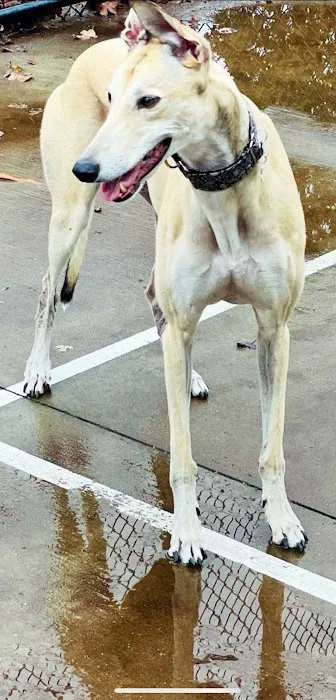 Southgate Animal Clinic Picture 6