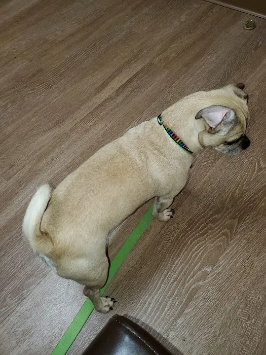 Southgate Animal Clinic Picture 10