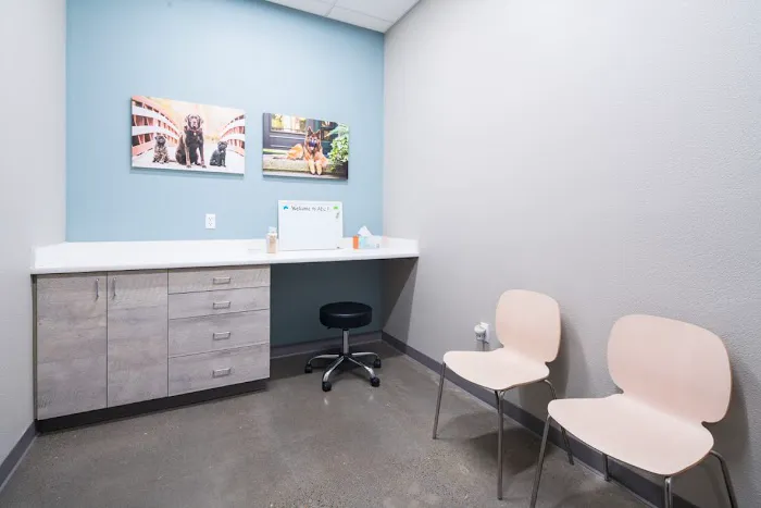 Animal Dermatology Clinic Portland Picture 2