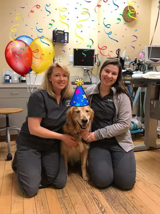 Animal Dermatology Clinic Portland Picture 6