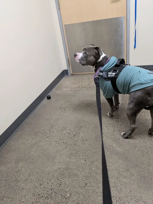 Vetco Total Care Animal Hospital Picture 6