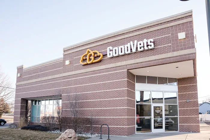 GoodVets South Denver Picture 2
