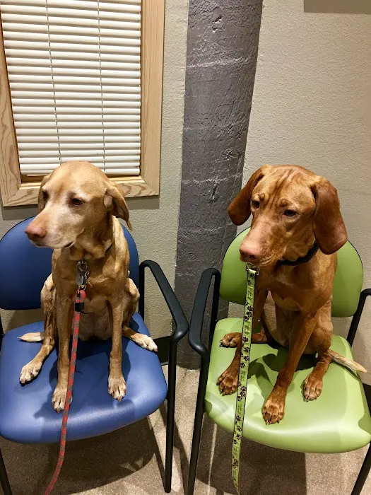 Overland Animal Hospital Picture 2