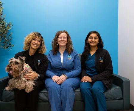 PetVet365 Pet Hospital Denver / University