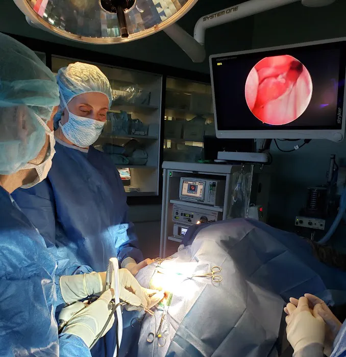 MISCA-Minimally Invasive Specialty Center for Animals Picture 5