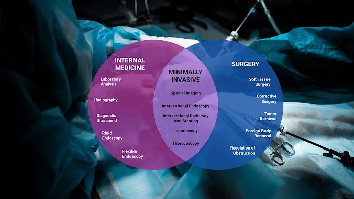MISCA-Minimally Invasive Specialty Center for Animals Picture 9