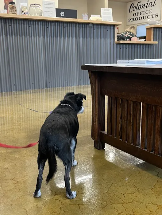Willamette Valley Animal Hospital of Gladstone Picture 1