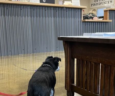 Willamette Valley Animal Hospital of Gladstone