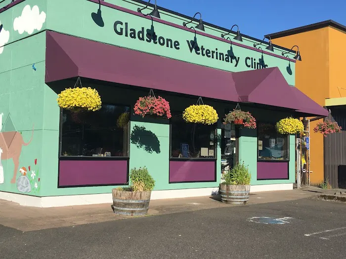 Gladstone Veterinary Clinic Picture 2