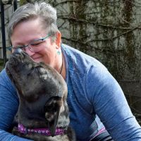 Gladstone Veterinary Clinic ico