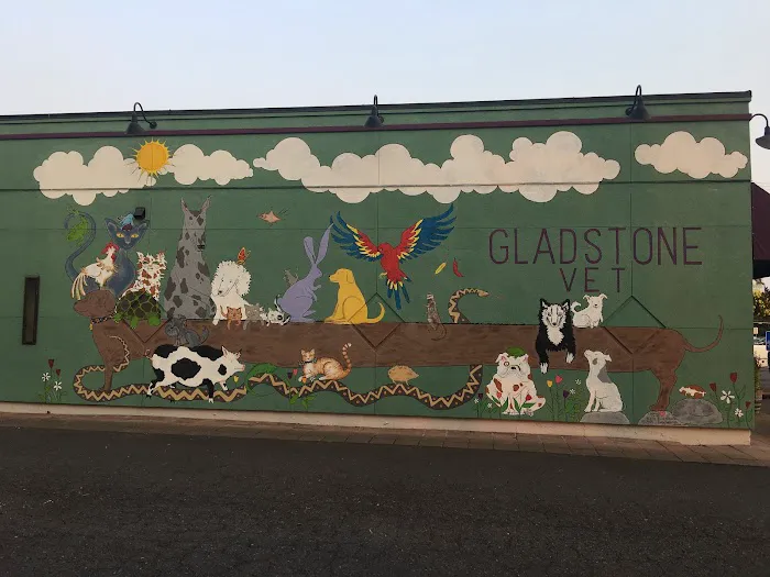 Gladstone Veterinary Clinic Picture 4