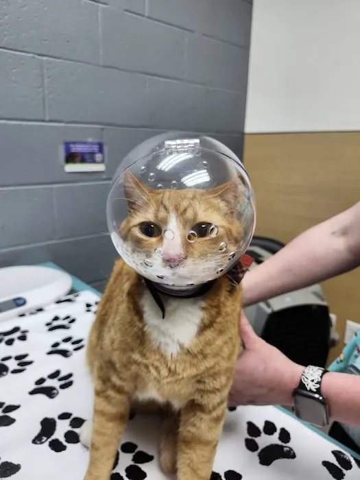 Clackamas Pet Clinic Picture 1
