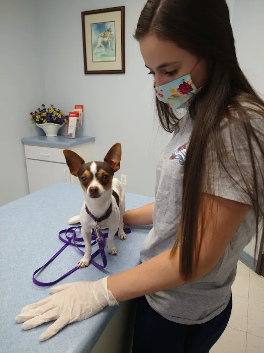 North Denver Animal Clinic Picture 5