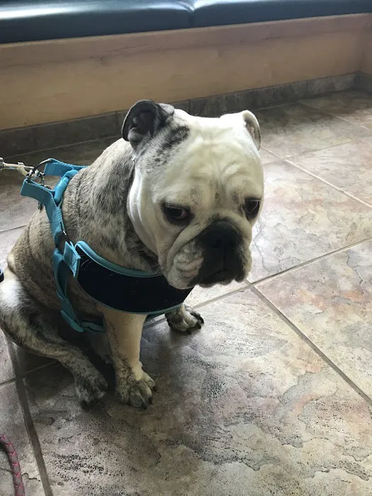 Huron Animal Hospital Picture 3