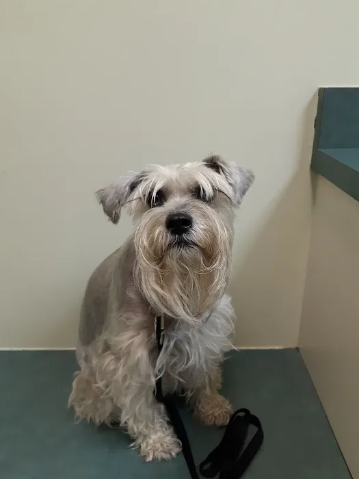 Huron Animal Hospital Picture 6